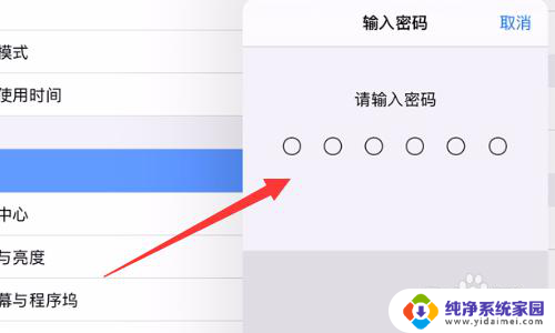 ipad屏幕出现彩色条纹怎么解决 iPad屏幕出现竖条纹怎么处理