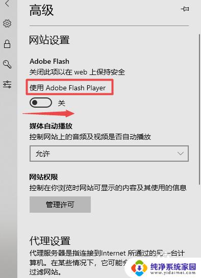 microsoft edge的flash怎么打开 Adobe Flash Player在Microsoft Edge上的开启方法