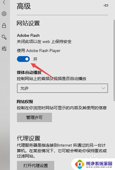 microsoft edge的flash怎么打开 Adobe Flash Player在Microsoft Edge上的开启方法