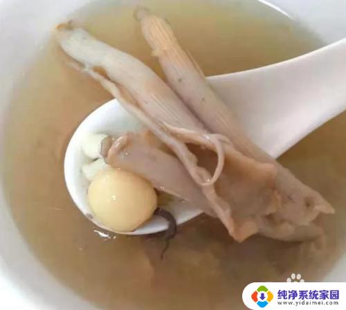 沙虫干怎么处理才干净?专业技巧分享