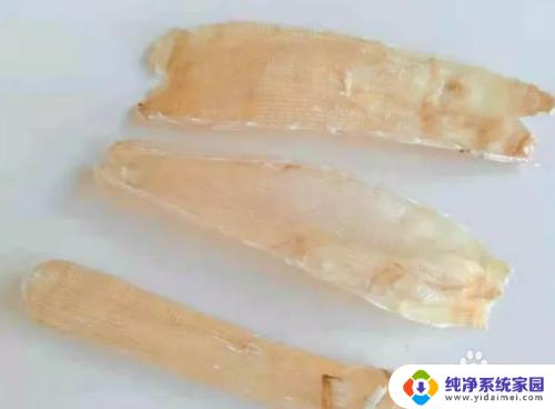 沙虫干怎么处理才干净?专业技巧分享