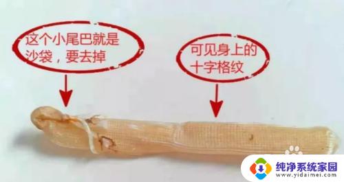 沙虫干怎么处理才干净?专业技巧分享