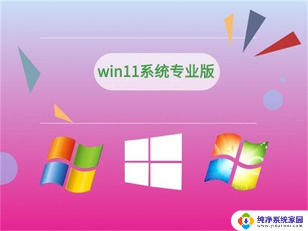 win11家庭版和win11区别 win11专业版和家庭版区别及特点