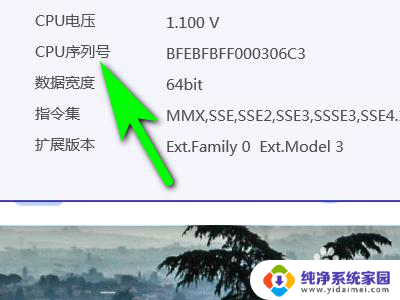 电脑cpu序列号在哪里看 电脑CPU序列号在哪里查看