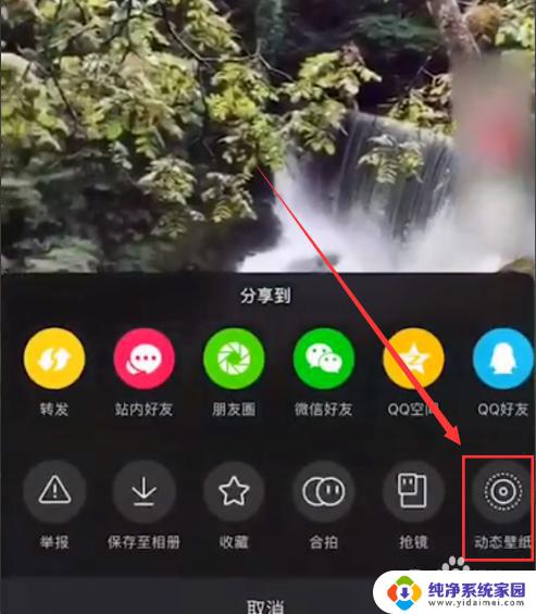 ipad相册视频设置动态壁纸 如何在ipad上设置抖音动态壁纸