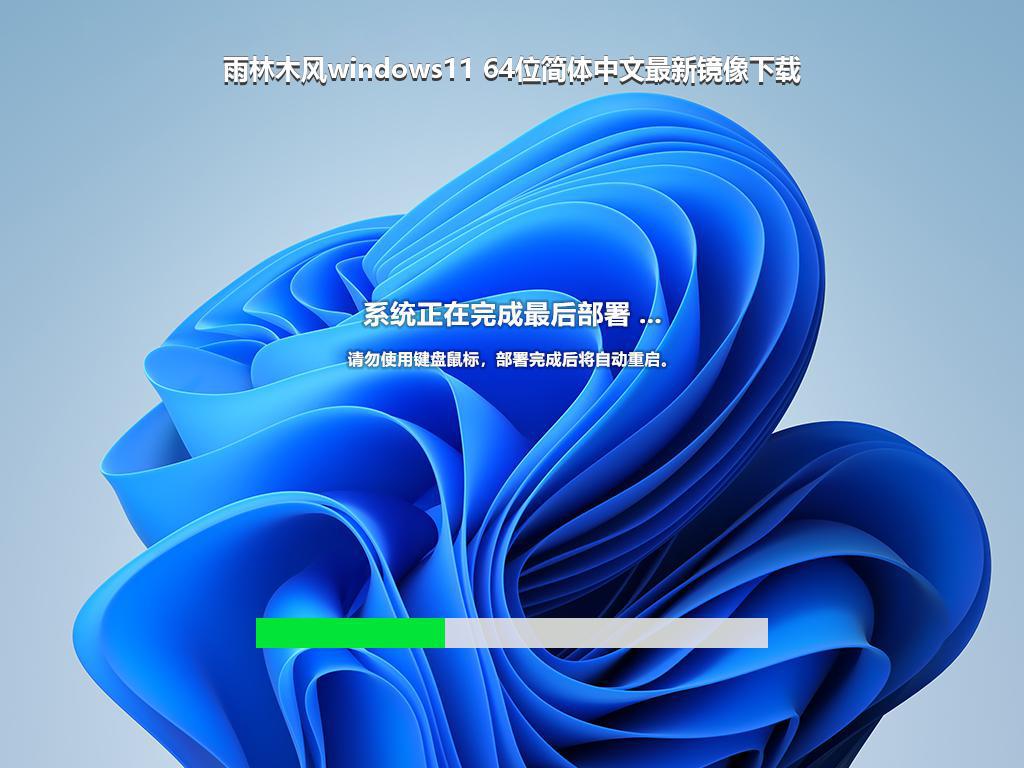 雨林木风windows11 64位简体中文最新镜像下载