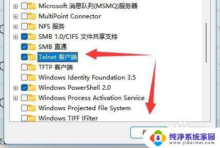 win11telnet服务端怎么开启 Win11 telnet服务开启方法