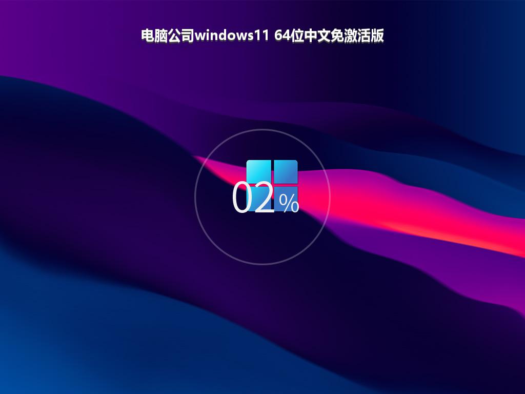 电脑公司windows11 64位中文免激活版