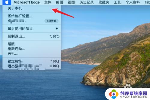 苹果电脑装了windows系统怎么看型号 如何在苹果电脑上查看型号