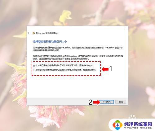 win10家庭版如何给磁盘加密 Windows10系统磁盘加密解密的安全性分析