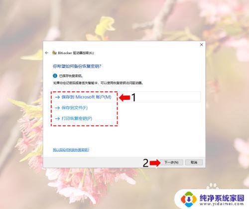 win10家庭版如何给磁盘加密 Windows10系统磁盘加密解密的安全性分析