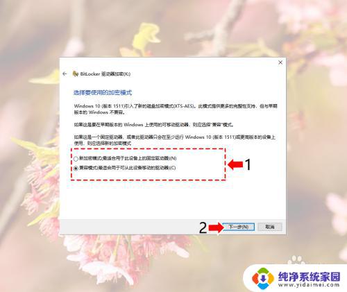 win10家庭版如何给磁盘加密 Windows10系统磁盘加密解密的安全性分析