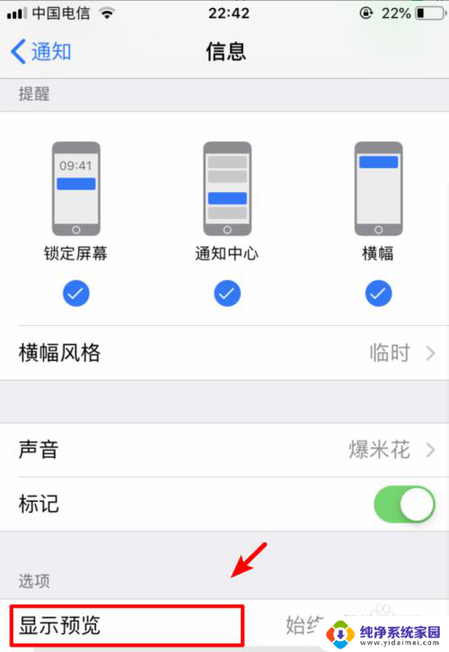 苹果信息怎么设置不显示内容 如何设置iPhone手机短信收到时不显示内容