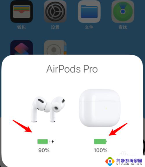 如何看airpods pro电量 如何查看AirPods Pro 剩余电量