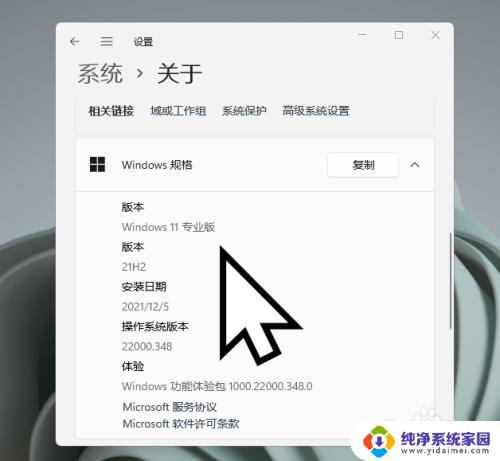 windows11怎么看是家庭版还是专业版 如何查看windows11版本是家庭版还是专业版