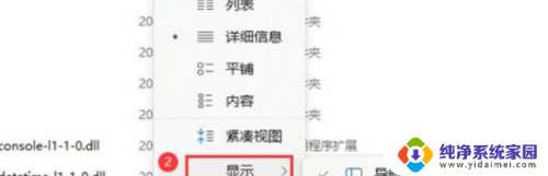 win11怎么看文件拓展名 Windows11如何显示文件扩展名