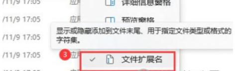 win11怎么看文件拓展名 Windows11如何显示文件扩展名