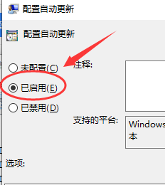 电脑没按键盘老是自动输入 Win10键盘出现连续自动输入文字怎么办