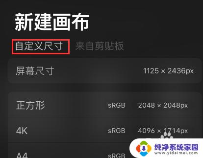 Procreate画好了怎么改分辨率?终极教程只为你!