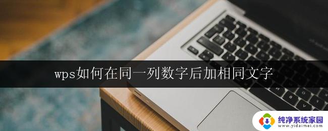 wps如何在同一列数字后加相同文字 wps如何在同一列数字后加相同文字格式