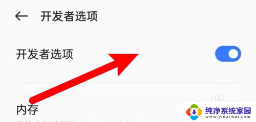 真我开发者模式怎么关闭 realme手机开发者模式功能怎么关掉