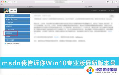 itellyouwin10专业版 MSDN专业版Win10最新版本号