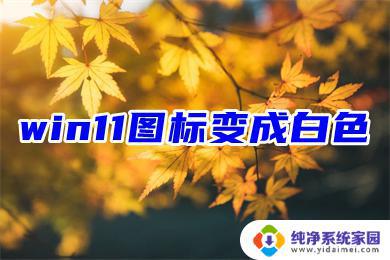 Win11 QQ图标变成白色格子？解决方法在这里！