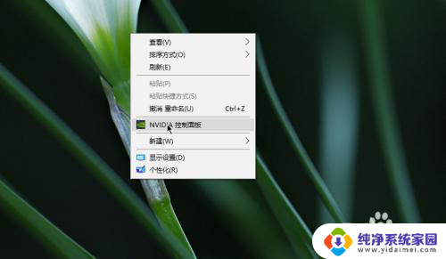 win10n卡游戏设置 Win10N卡控制面板如何调整画面效果