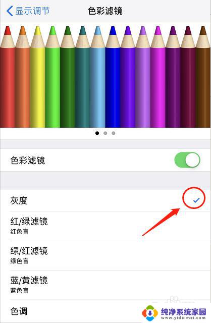 苹果屏幕显示黑白屏幕怎么调 iPhone显示黑白屏解决方法